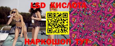 PSILOCYBIN Наро-Фоминск