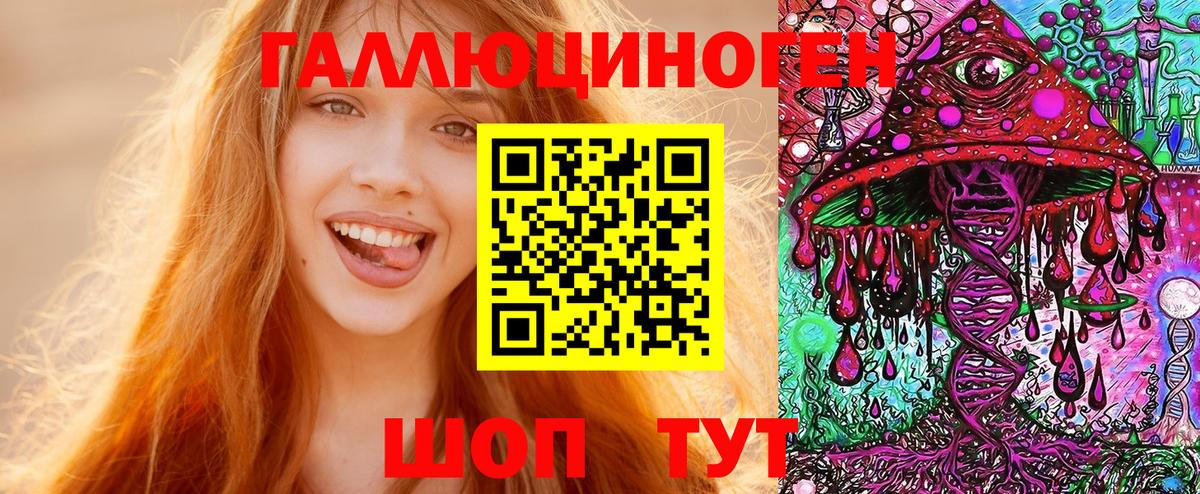 Псилоцибиновые грибы Psilocybe  Вход с VPN  Чита 